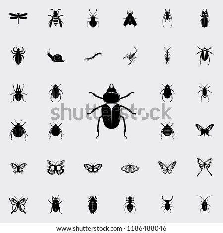 beetle icon. insect icons universal set for web and mobile