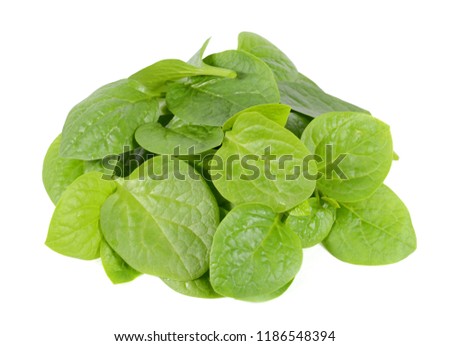 Fresh spinach leaves on a white background
