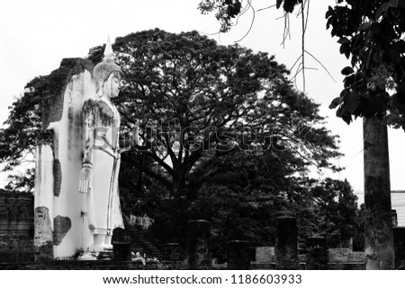 Buddha standing at the palace.Vesak Day,Makha Bucha Day,Asalha Bucha Day.Thailand