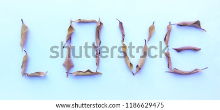 The brown dry leaves array alphabet is the word love. On white background and isolate picture with love concept.