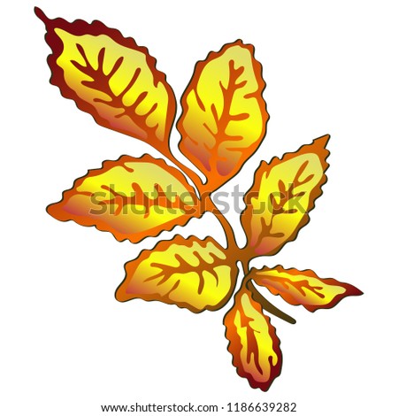 Vector autumn yellow rose hip leaves. Leaf plant botanical garden floral foliage. Isolated illustration element. Vector leaf for background, texture, wrapper pattern, frame or border.