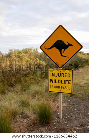 Attention sign for kangaroo and information for a contact in case of seeing injured wildlife in a suburb of Australia. 