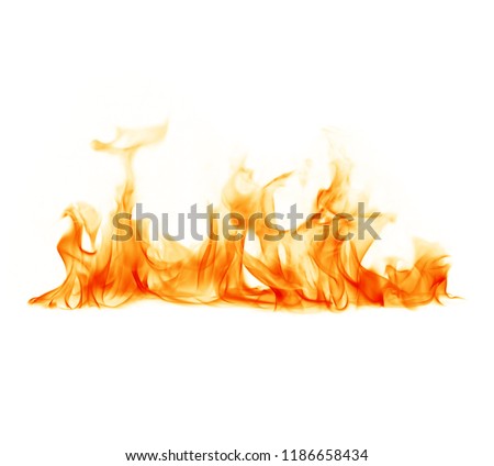 Fire flames on a white background. Royalty-Free Stock Photo #1186658434