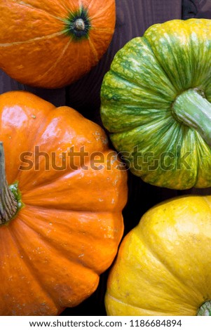 Group Of Pumpkins