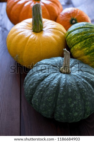 autumn harvest of pumpkins