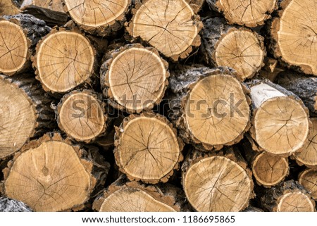 The texture of a dry round wooden trunk with annual rings and cracks close-up.
