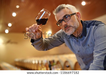 Winemaker tasting red wine in cellar Royalty-Free Stock Photo #1186697182