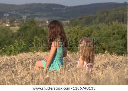 Two little girls sister walking on a wheat field