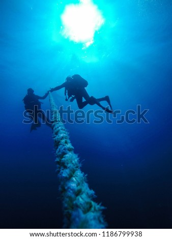 Scuba Divers Descending Holding a Rope to a Shipwreck in the Red Sea in Egypt Royalty-Free Stock Photo #1186799938