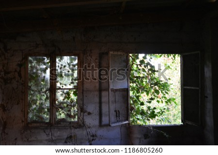 Picture of the windows in an old run-down factory that is gradually recaptured by nature - Broken windows in a very old factory with empty rooms and broken walls