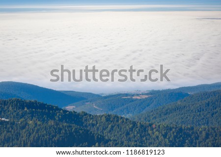 Aerial view of forest over the clouds - Yedigoller , Turkey