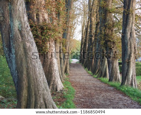 Walking paths in nature