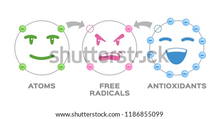 free radical and Antioxidant vector . Antioxidant donates electron to Free radical . infographic cartoon Royalty-Free Stock Photo #1186855099