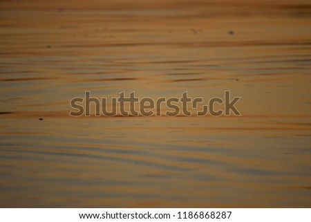 water background in colorful sunset light.