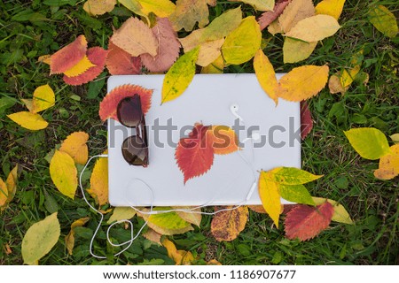 Closed aluminium laptop and autumn background with fallen leaves and green grass. White headphones and Sunglasses on laptop. Online work, freelancing. Top View