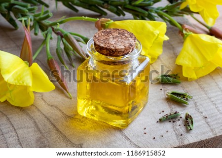 A bottle of evening primrose oil with oenothera biennis flowers, pods and seeds Royalty-Free Stock Photo #1186915852