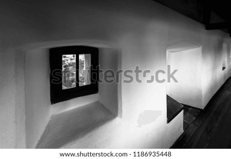 Bran Castle windows in black and white