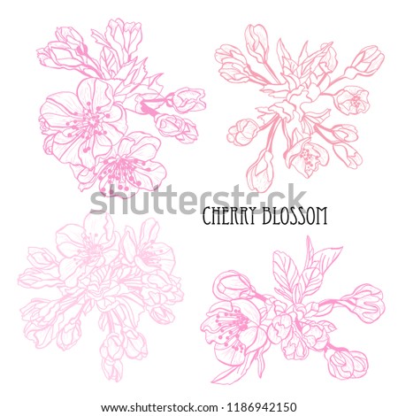 Decorative sakura flowers set, design elements. Can be used for cards, invitations, banners, posters, print design. Floral background in line art style