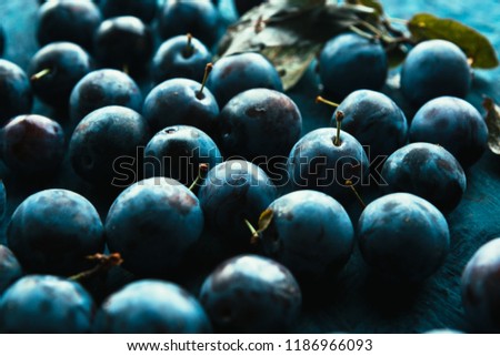 many fresh plums on blue background close up