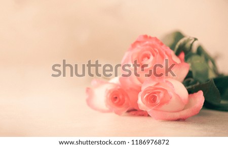 Bunch of pink roses on concrete background. Surprise Valentine's Day, soft color toned. Copy space.