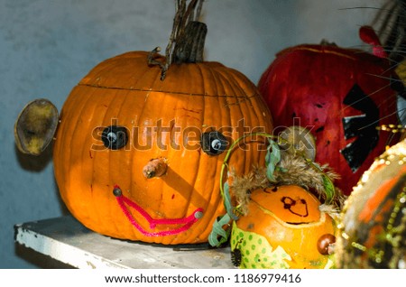 two orange halloween pumpkins in autumn garden