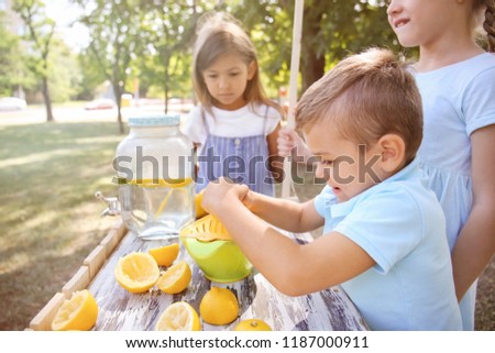 Little boy preparing fresh lemonade in park