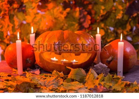 Halloween pumpkin lantern with dry leaves and candles