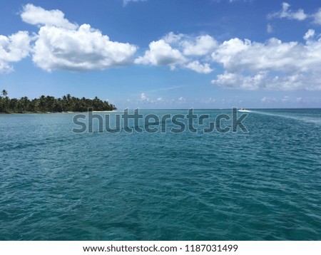Coast of the ocean beach with white sand and tropical grove in the background in clear sunny weather