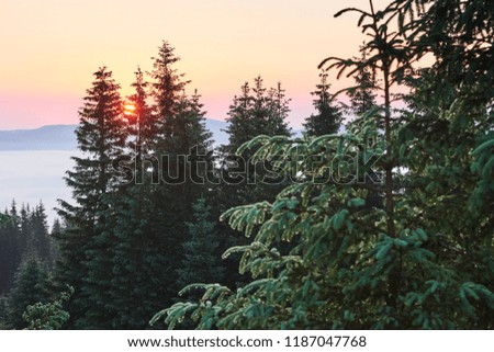 Sunset in the mountains landscape. Dramatic sky. Carpathian of Ukraine Europe.