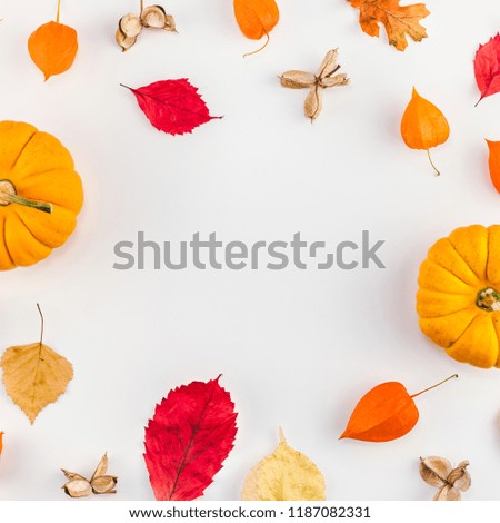 Creative Top view flat lay autumn composition. Pumpkins dried orange flowers leaves background copy space. Square Template frame fall harvest thanksgiving halloween anniversary invitation cards