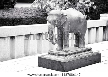 Statue of an elephant in a temple in Japan. This image was blurred or selective focus. Black and white picture.