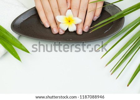 Spa manicure. Beautiful female hands in bowl of water with tropical flower
