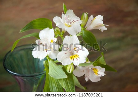 beautiful white flowers on artistic background