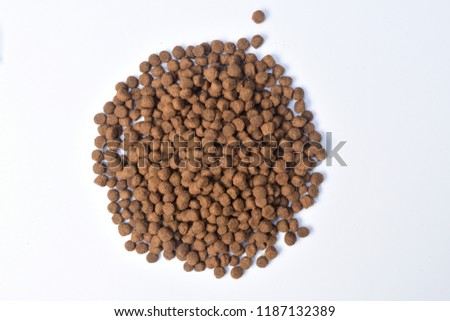 closeup of feed of dog