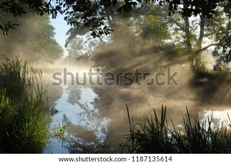 Sun rays shine over The River Wey on a cold misty morning in Godalming, Surrey