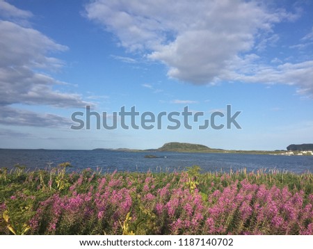 Newfoundland Coastal Landscape in Summer