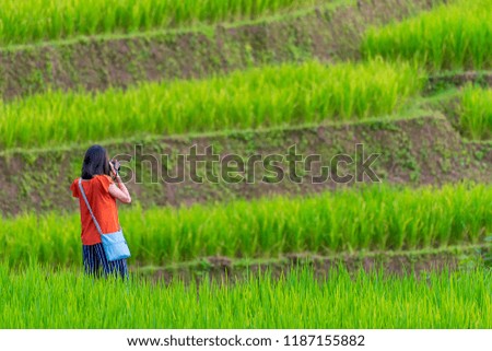 Girl shooting Rice Terraces in chiang mai, thailand
