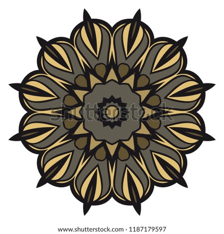 Modern Decorative Cicle Shapes. Floral mandala. vector illustration.
