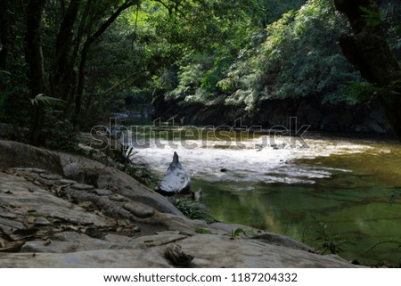 Beautiful natural river in green forest with mountain in background