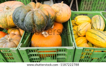 Pumpkins at Market in boxes