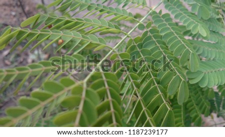 plants for life Royalty-Free Stock Photo #1187239177