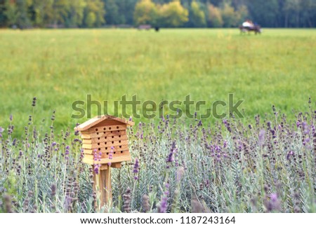 An insect hotel, also known as bug hotel or insect house, in the middle of lavender’s flowers Royalty-Free Stock Photo #1187243164