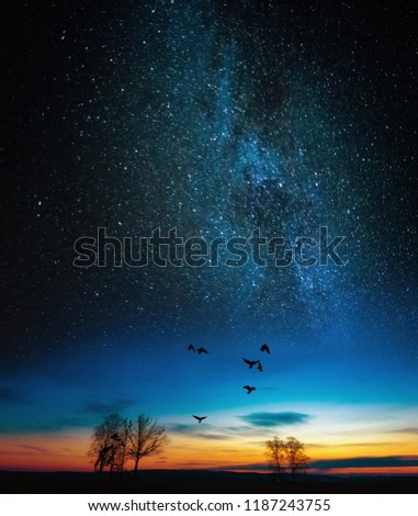 Dreamy surreal landscape with starry night sky and dawn. Crows flying under stars.