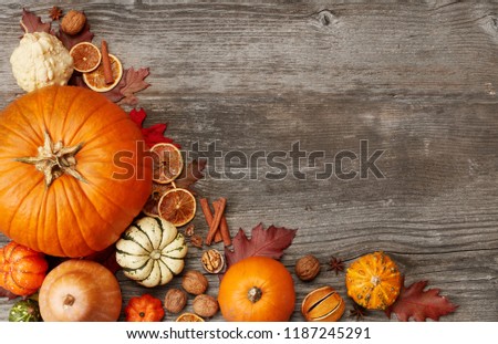 Fall pumpking arrangement