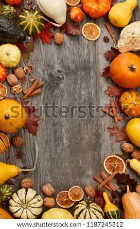 Fall Pumpkin frame