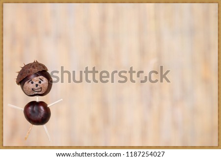 Horse chestnut man with colorful background