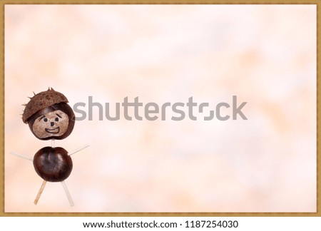 Horse chestnut man with colorful background
