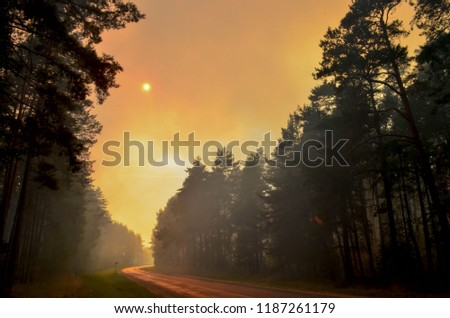 The highway is in a strong smoke due to a strong forest fire. The sun eclipsed with gray smoke and the sky turned red
Forest fire, several hectares of pine trees burned during the dry season in Belaru