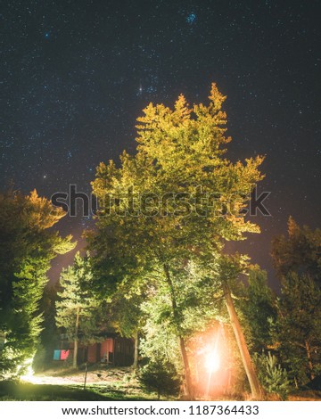 Long exposure stars above the forest