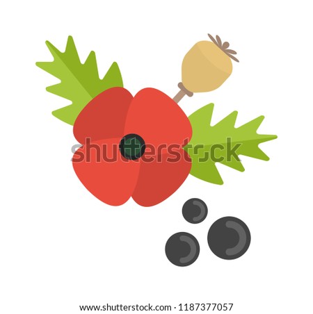 Vector Illustration of Poppy seed. Simple flat icon of seeds on a white background.